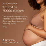 Pregnancy New Mother Multi Vitamins