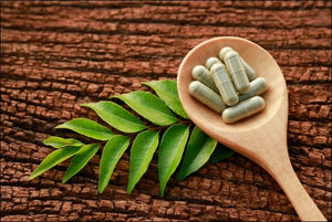How Green Tea Softgels Support Your Skin, Metabolism, and Overall Wellness?