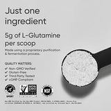 Sports Research L-Glutamine Unflavored Powder for Gut Health and Workout Recovery 1.1 lbs