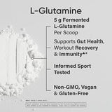Sports Research L-Glutamine Unflavored Powder for Gut Health and Workout Recovery 1.1 lbs