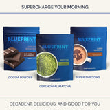 Blueprint Bryan Johnson Matcha Powder 30 Servings