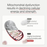 Timeline Mitopure Urolithin A 500mg Powder