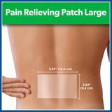 Salonpas Large Pain Relieving Patch for Back Neck Shoulder Knee Muscle Relief
