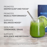 Blueprint Bryan Johnson Matcha Powder 30 Servings