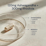 Blueprint Bryan Johnson Ashwagandha & Rhodiola Supplement, 30 Veg Capsules