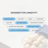 Blueprint Macadamia Nut Protein Bar White Cocoa 9G Plant Protein 12 Pack