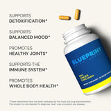 Blueprint NAC Supplement 30 Servings