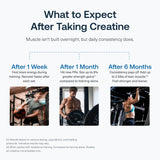 Transparent Labs Creatine HMB, 30 Servings