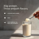 Blueprint Bryan Johnson Vegan Protein Meal Replacement 30g, Chai Flavored, 15 Servings