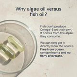 Blueprint Bryan Johnson Omega-3 800mg 60 Softgels