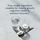 Blueprint Bryan Johnson Creatine Monohydrate Powder 5g, 100 Servings