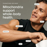Timeline Mitopure Urolithin A Softgels