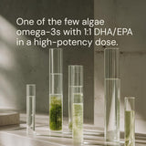Blueprint Bryan Johnson Omega-3 800mg 60 Softgels