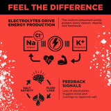 LMNT Zero Sugar Electrolyte Drink Mix