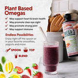 Barlean's Pink Lemonade Vegan Omega 3 Liquid Algae Oil Supplement with 630mg EPA & DHA, Non-GMO, Gluten-Free, 16 oz