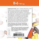 NOW Supplements, Vitamin B-6 (Pyridoxine HCl) 100 mg, Cardiovascular Health, 250 Veg Capsules