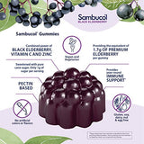 Sambucol Black Elderberry with Vit.C & Zinc 30 Gummies